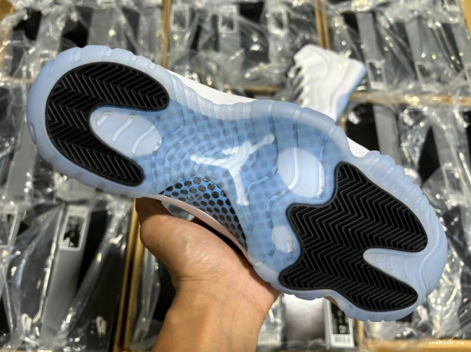Chep Onekick 11 CT8012-104 Jordan Blue legend Air 0630